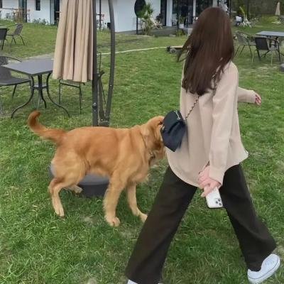 三颗摇滚的心